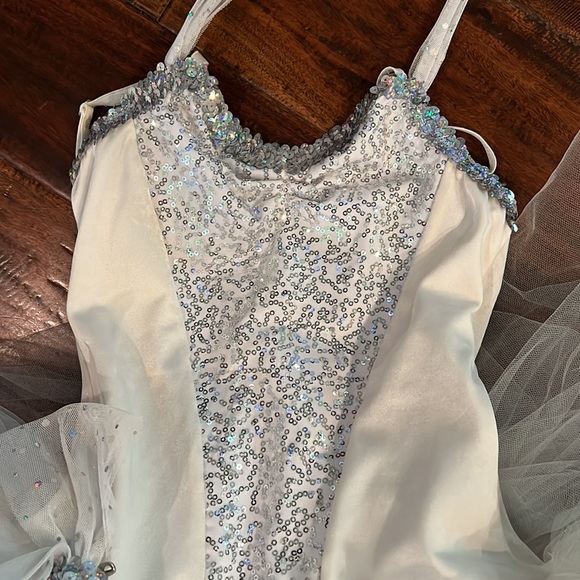 Ballerina Costume - Picture 2 of 5